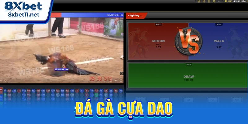 Đá Gà Cựa Dao 8XBET - Trực Tiếp Ổn Định, Không Giật Lag 5 đá gà cựa dao